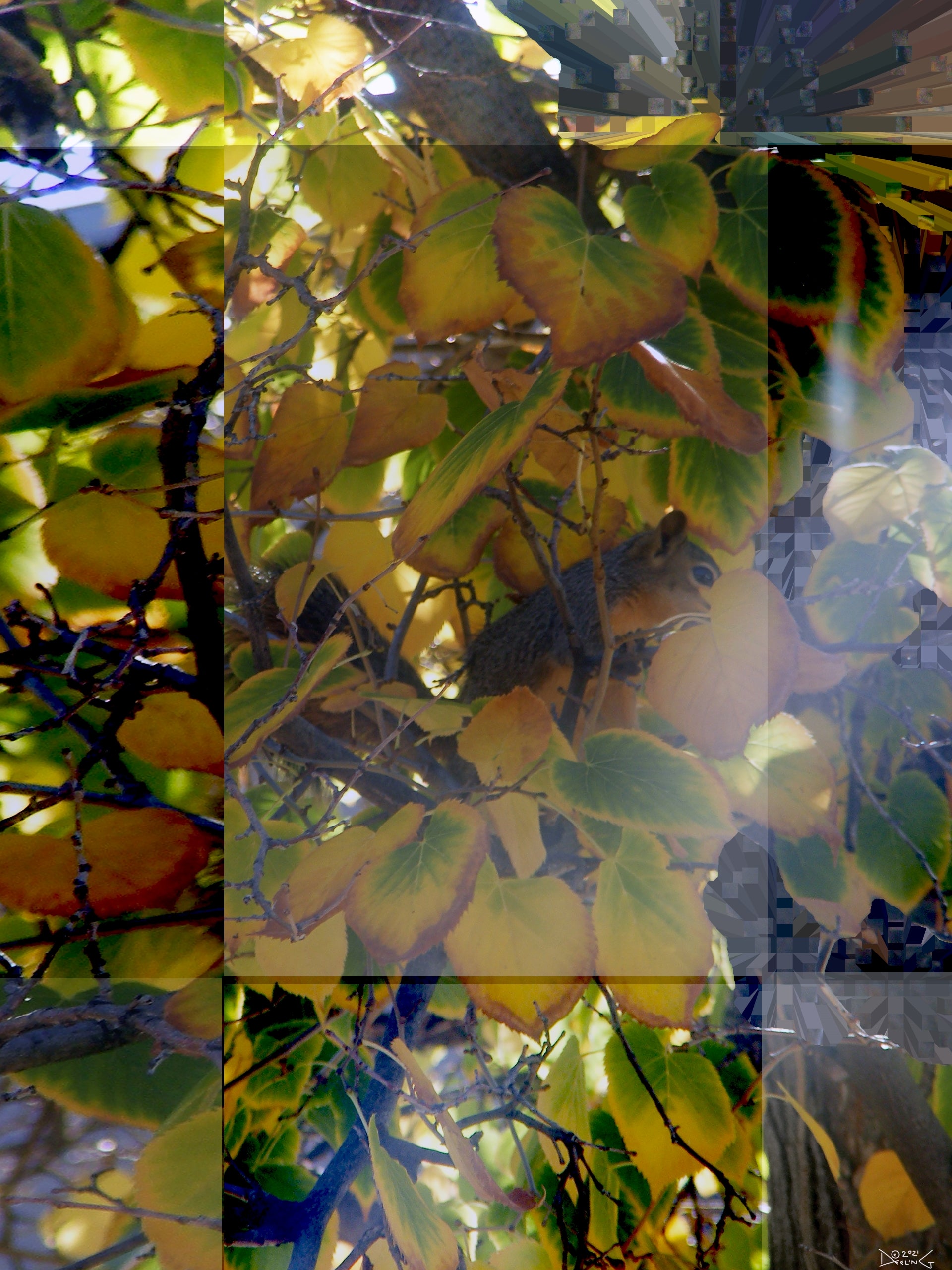 Hidden, No. 2 by Deeling C. Gregory