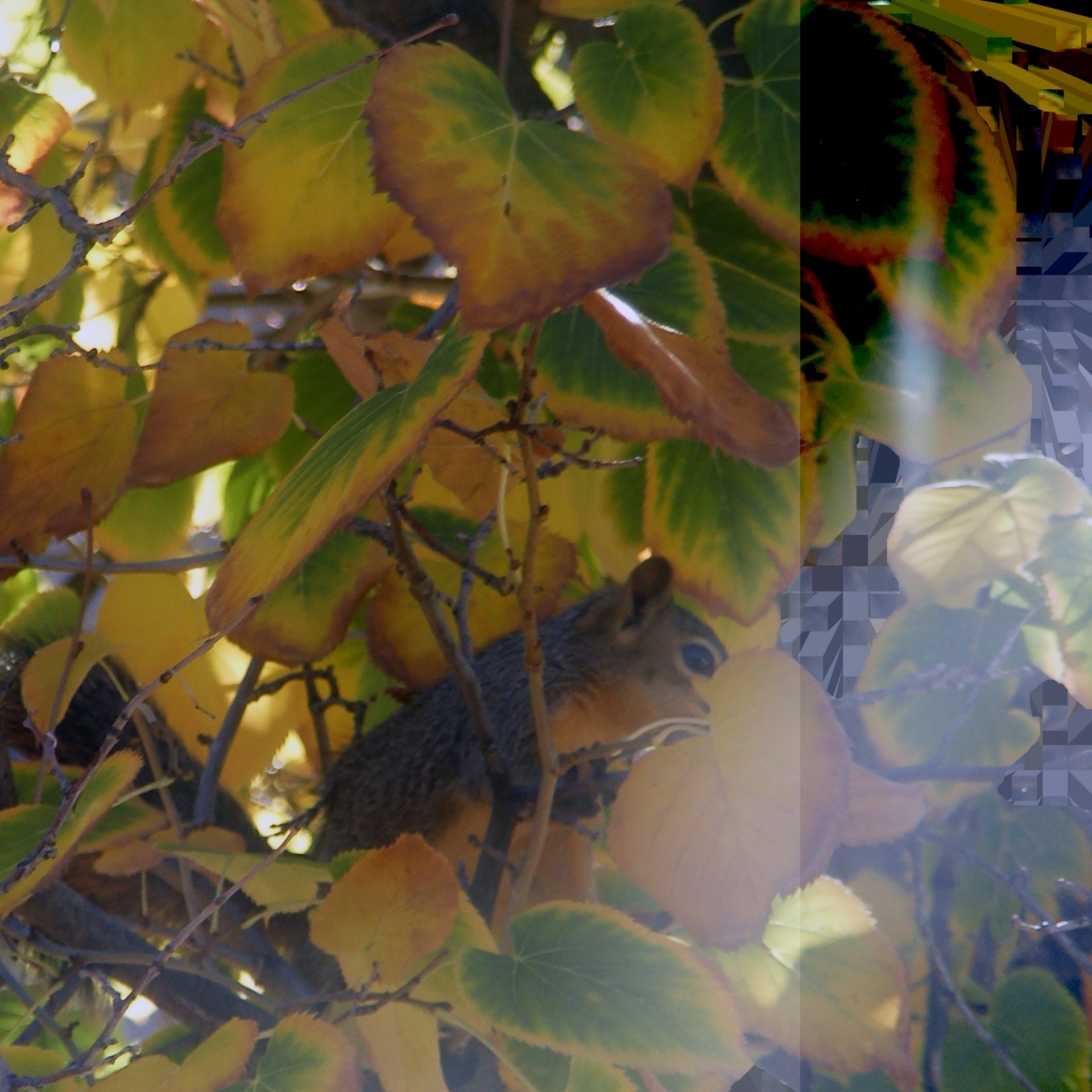 Hidden, No. 2 by Deeling C. Gregory