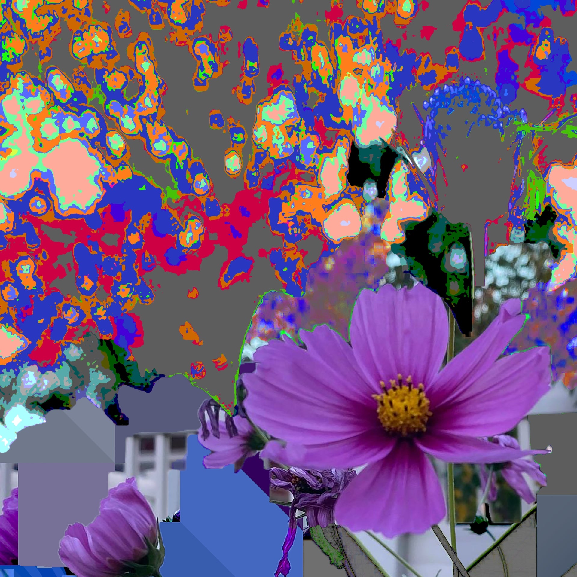 Fall Flower, No. 5 by Deeling C. Gregory