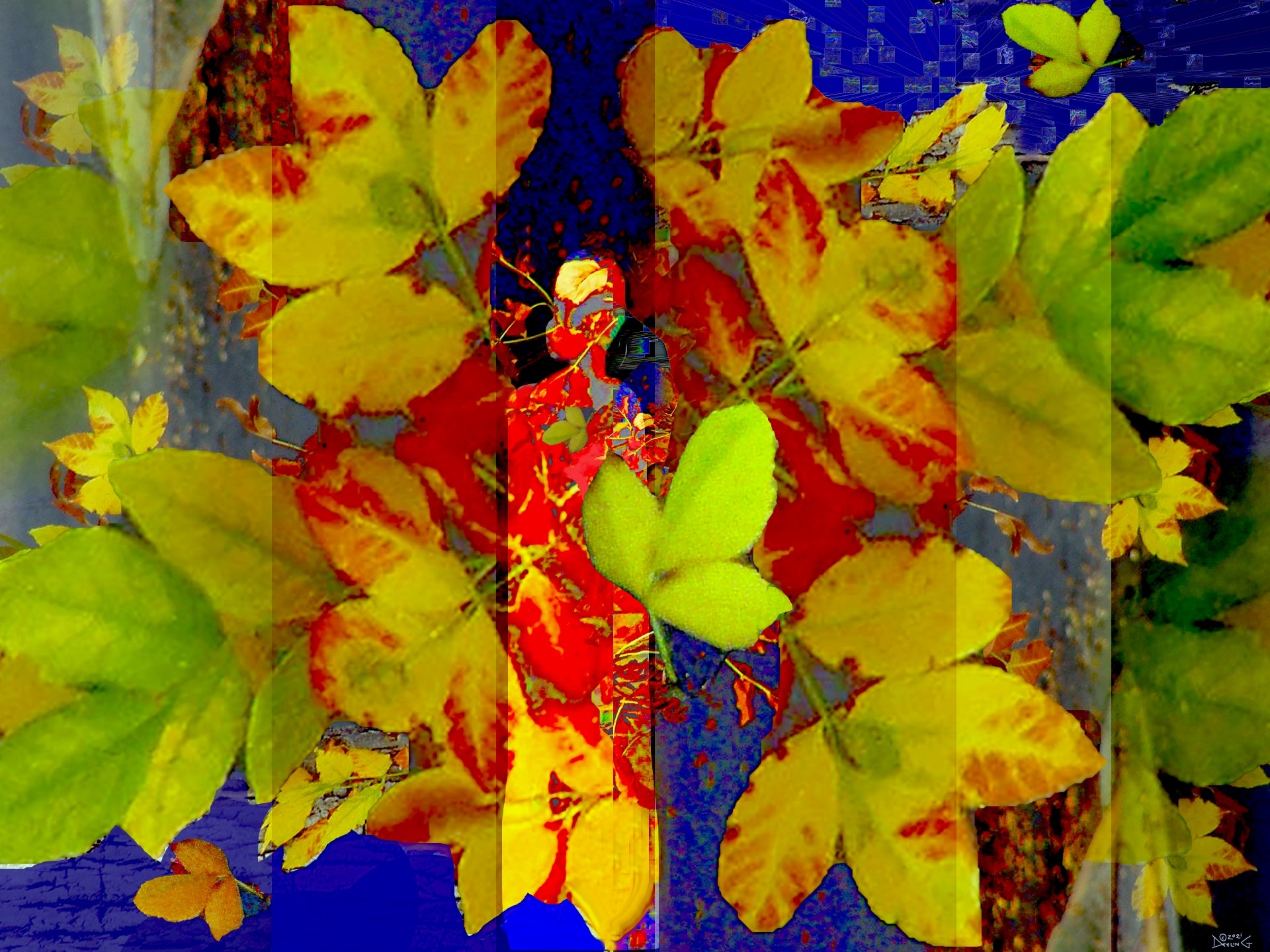 Fall Reflection, No. 9 by Deeling C. Gregory