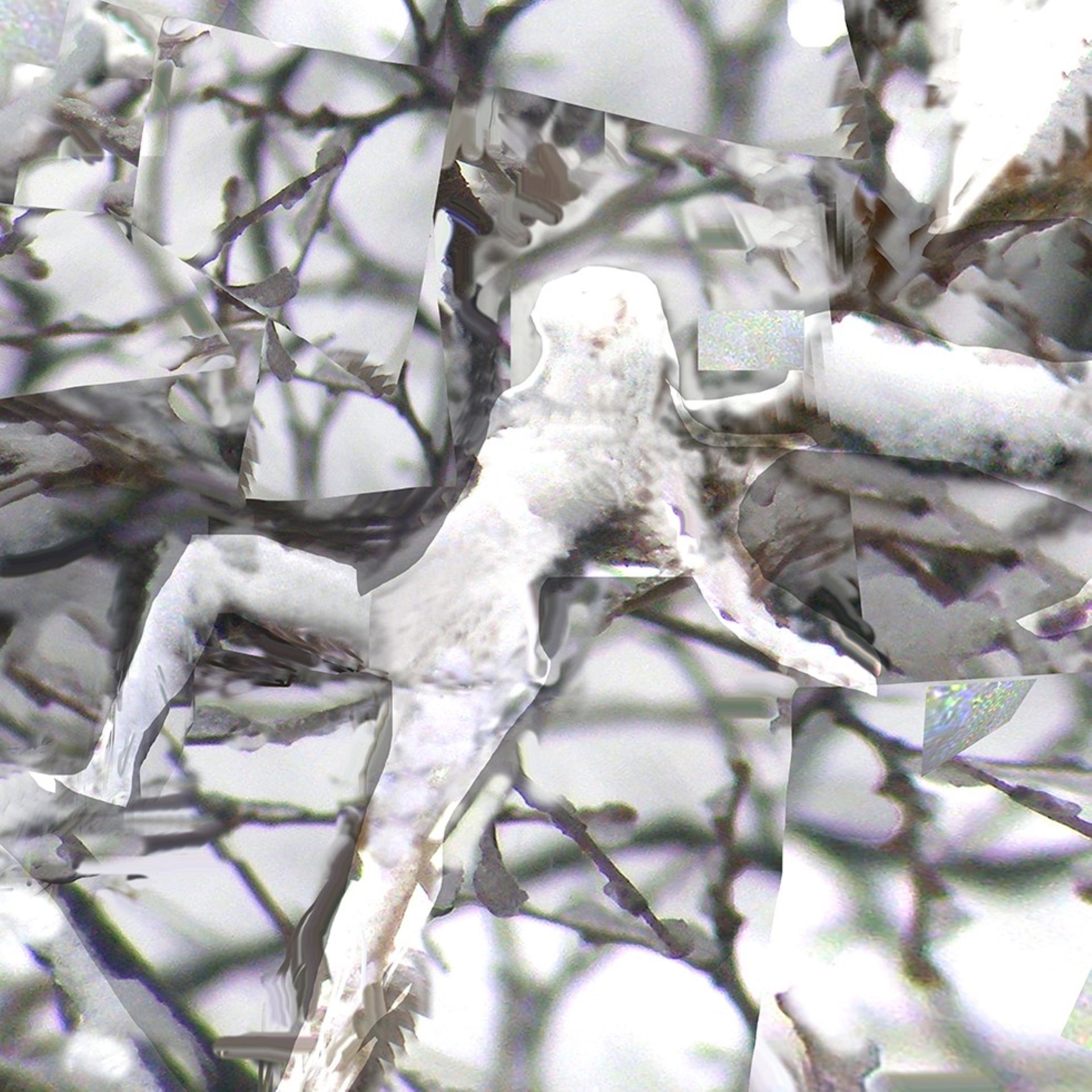 Frozen, No. 3 by Deeling C. Gregory