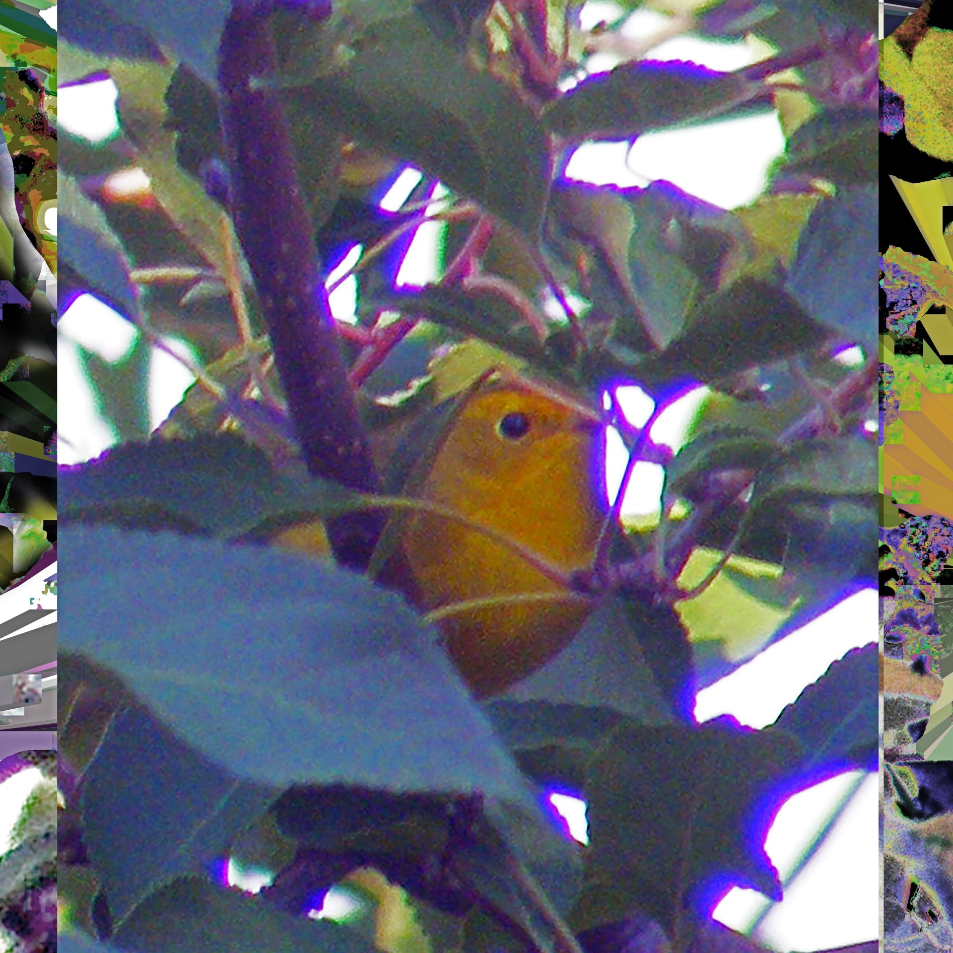 Hideaway, No. 3 by Deeling C. Gregory