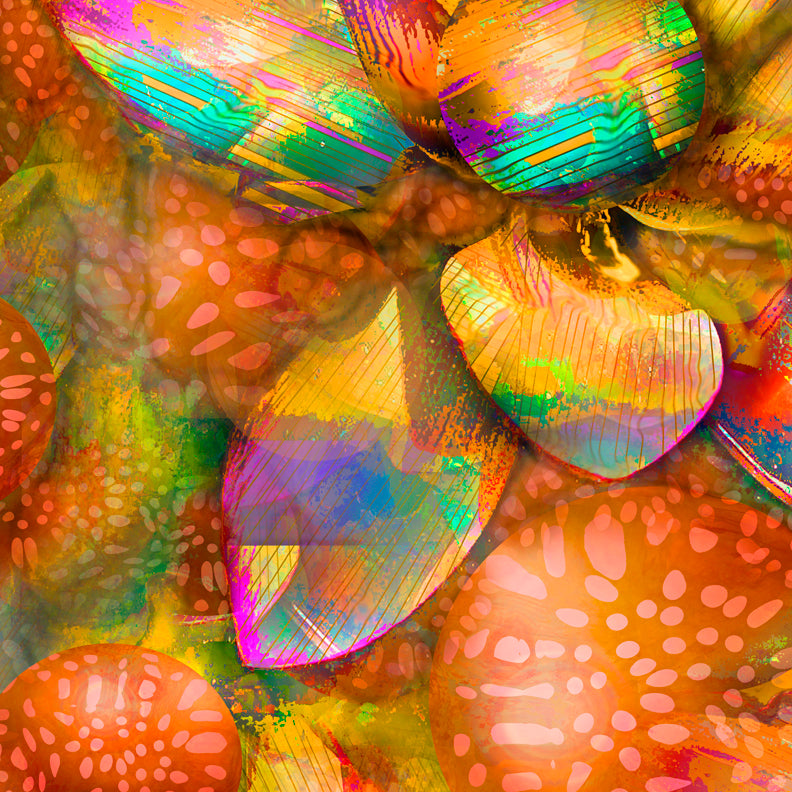 Lotus Tangerine 2016 by Deeling C. Gregory