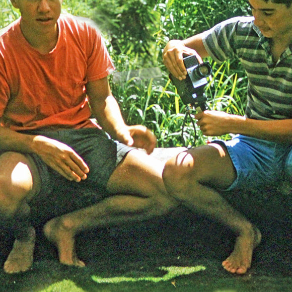 Manoa Memories 5.9 2017 Cool Camera by Deeling C. Gregory