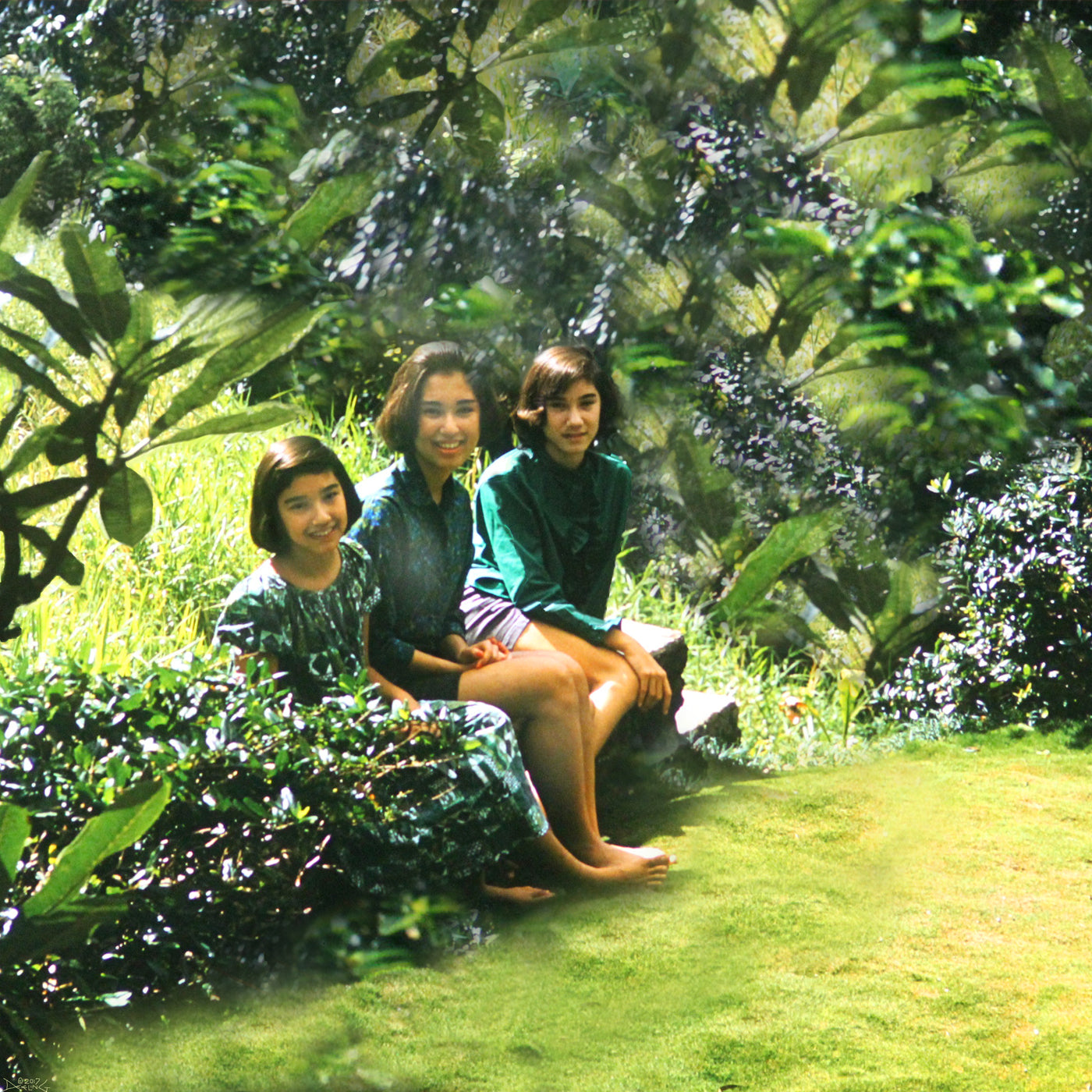 Manoa Memories 6.6 2017 Manoa Sisters by Deeling C. Gregory