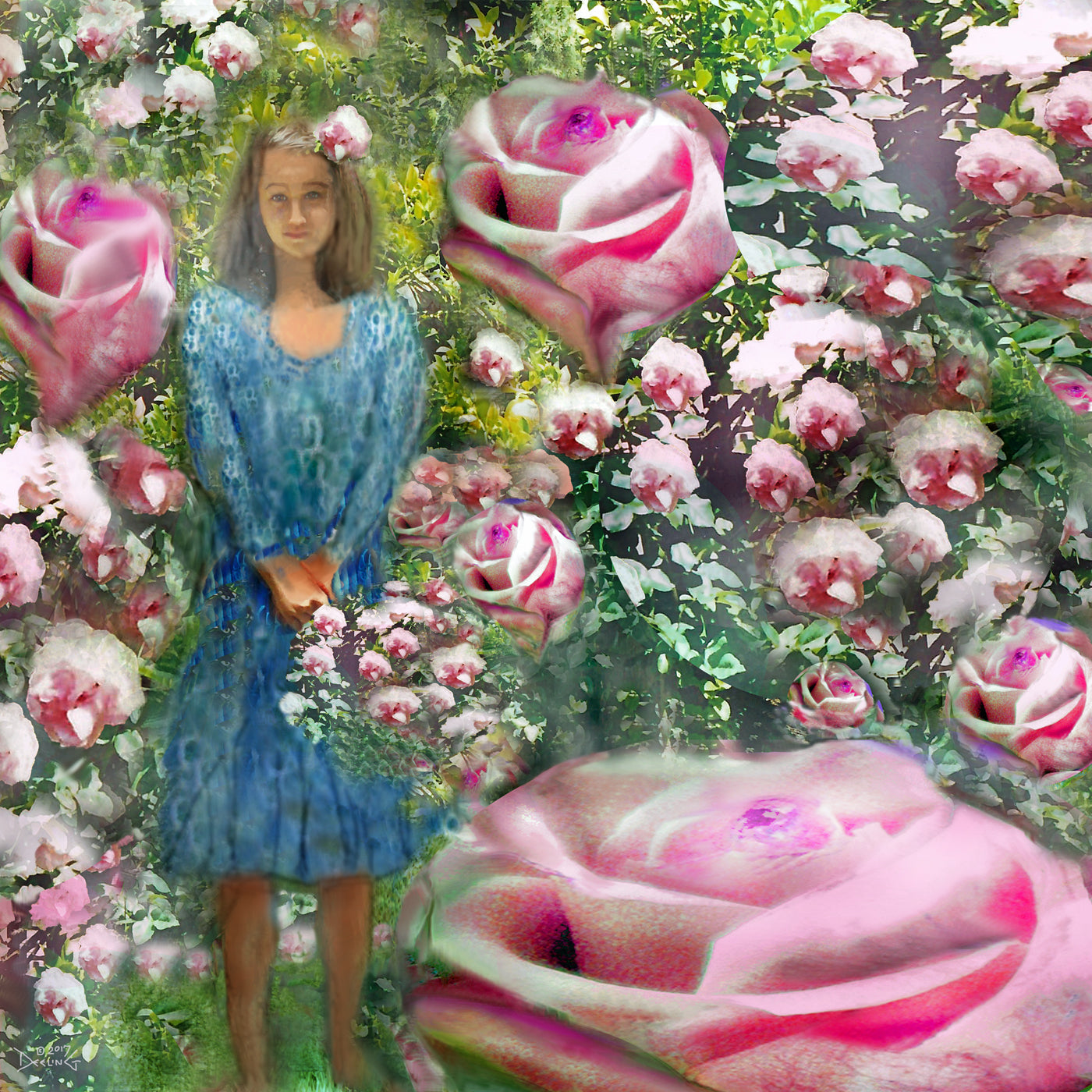 Pink Roses 2017 by Deeling C. Gregory