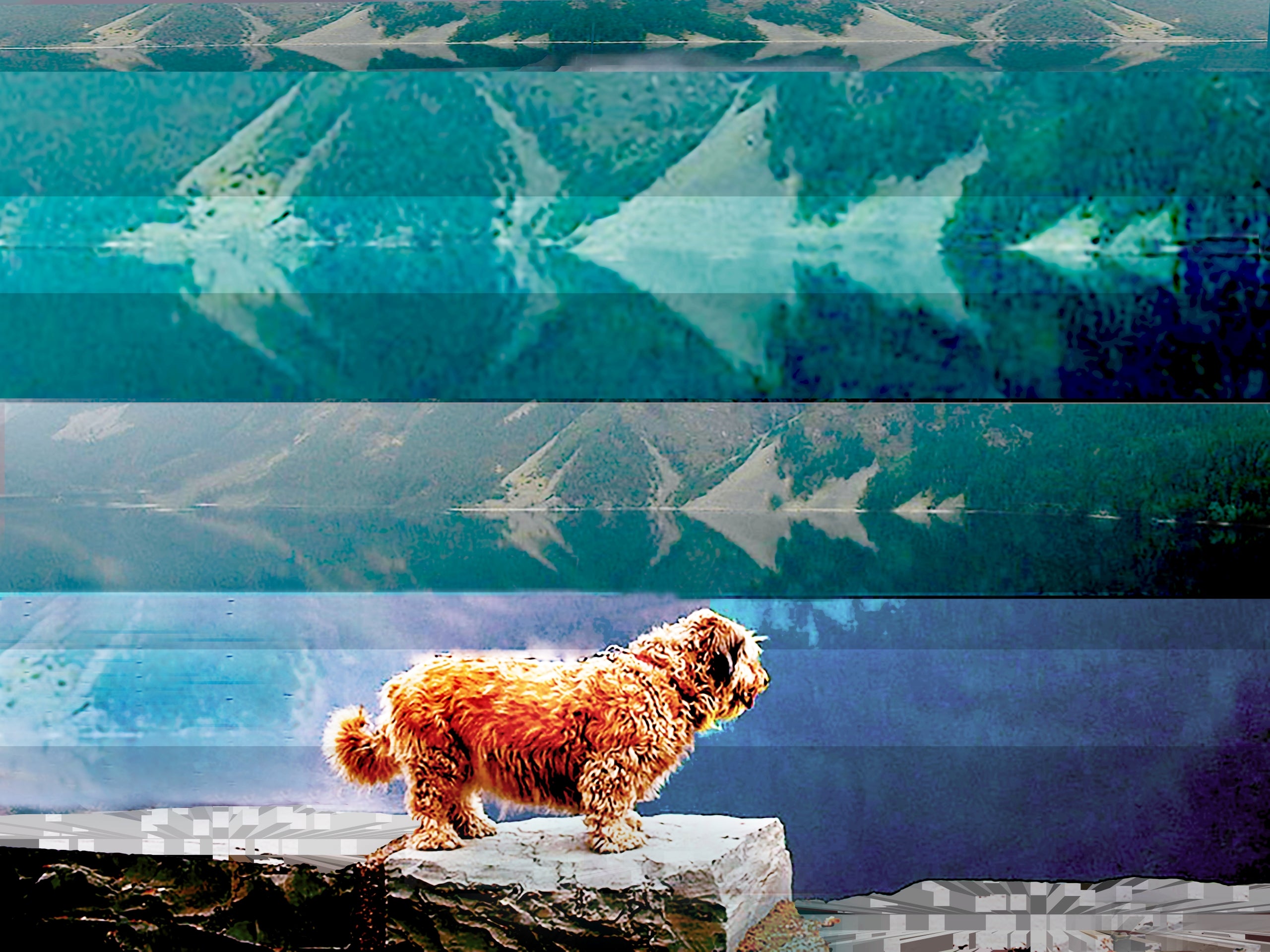 Reflections by Deeling C. Gregory