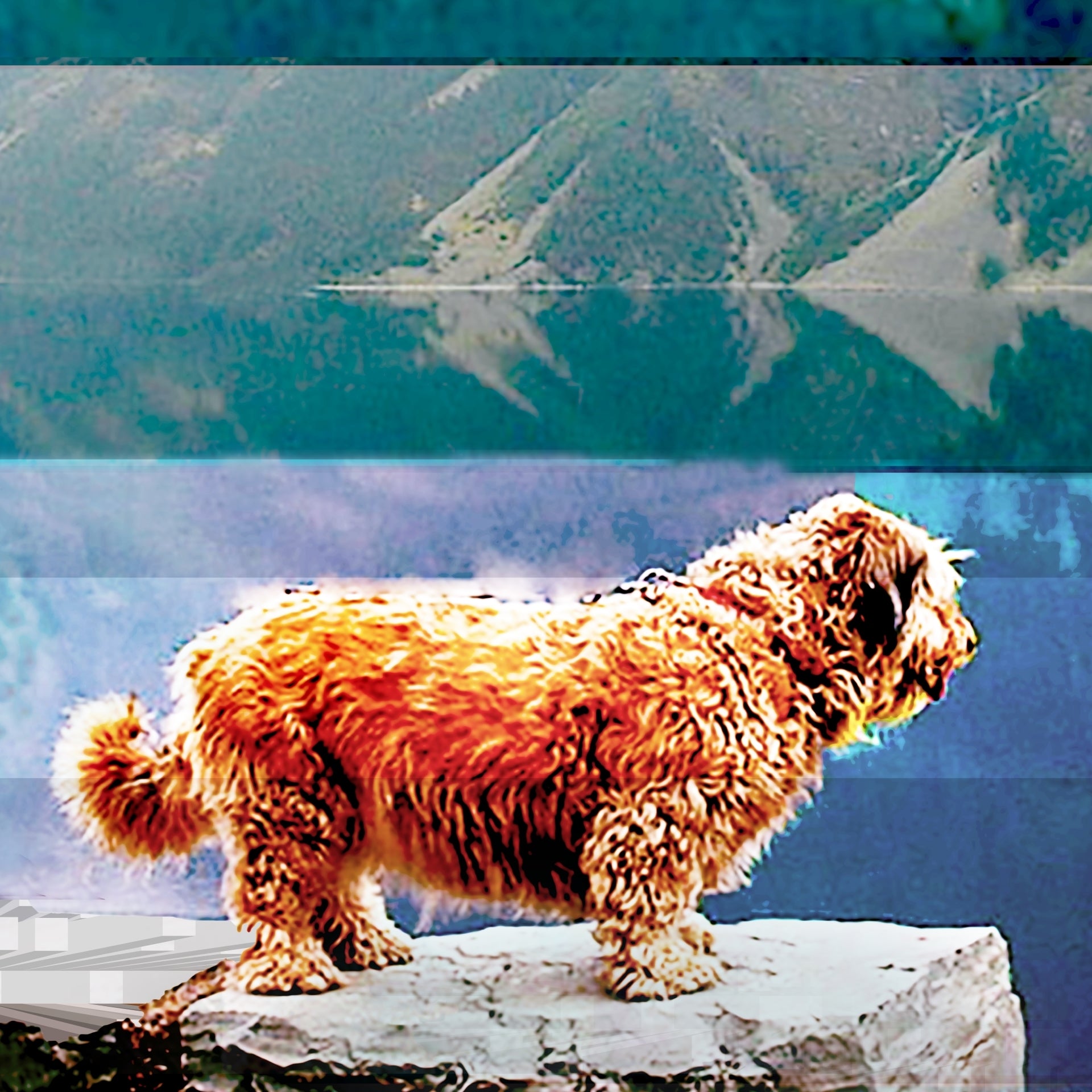 Reflections by Deeling C. Gregory