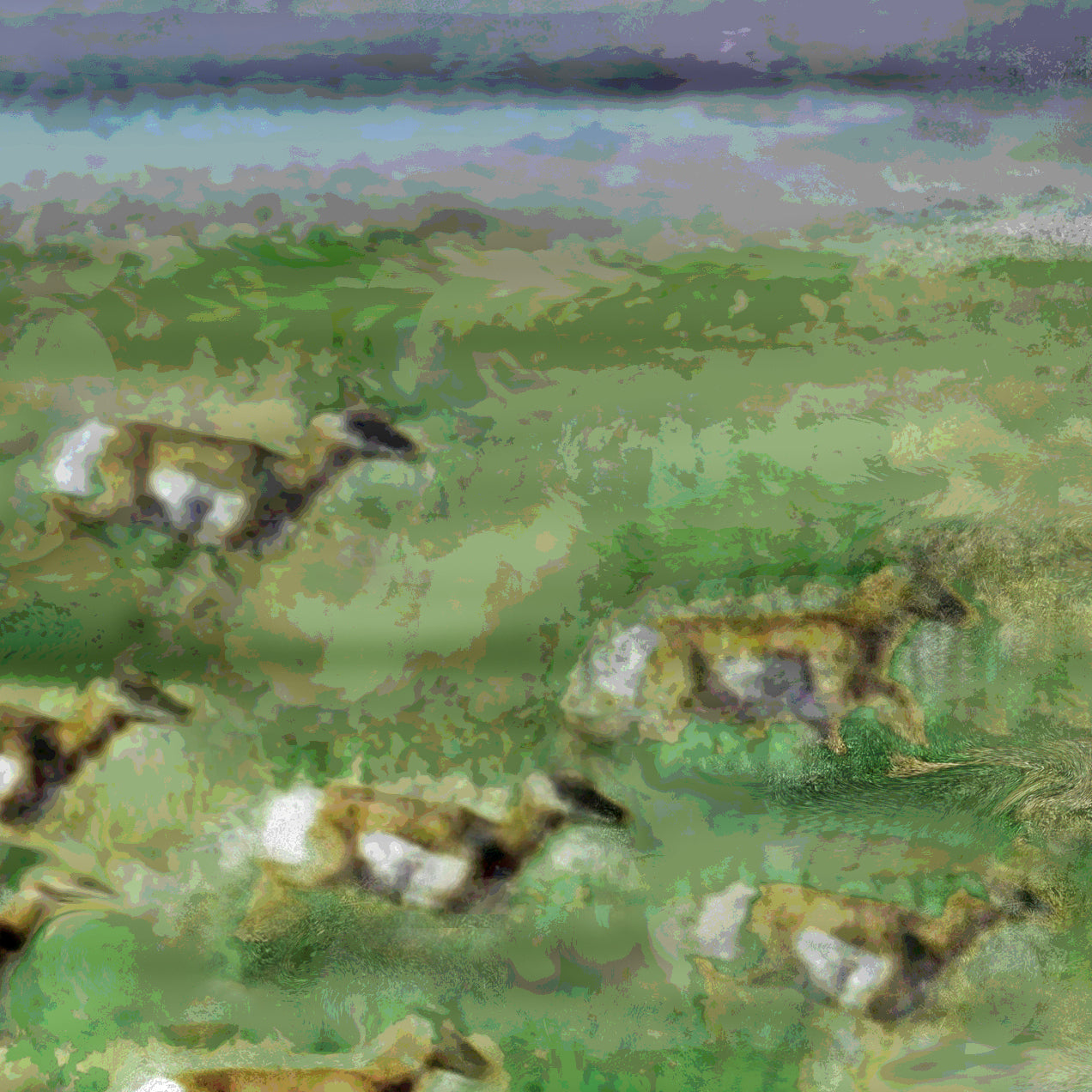 Shadows of the Plains 2016 by Deeling C. Gregory