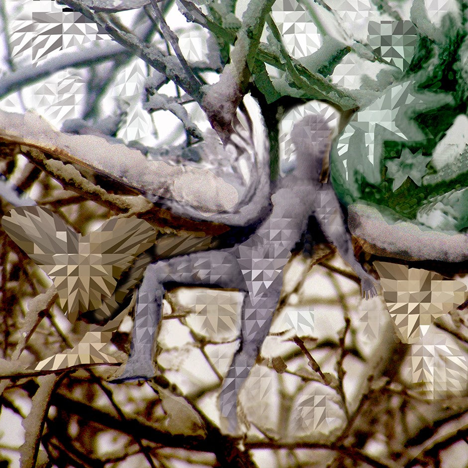 Snow Blossom, No. 8 by Deeling C. Gregory