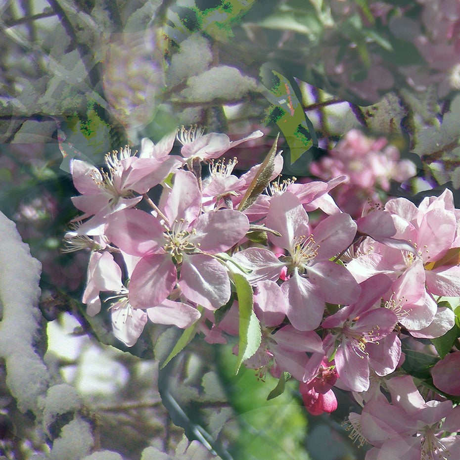 Taste of Spring, No. 2 by Deeling C. Gregory