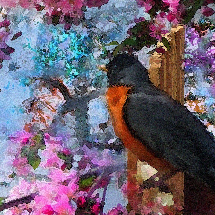 Rockin' Robin Rocks On 2018 by Deeling C. Gregory