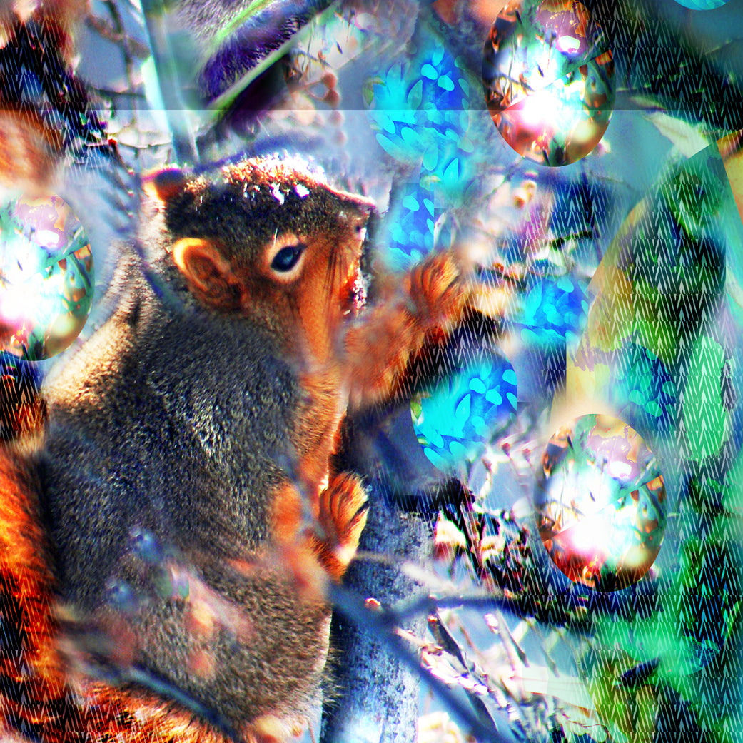 Squirrel Boy 2018 by Deeling C. Gregory