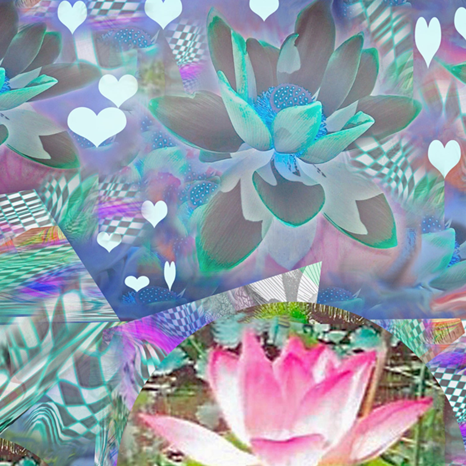 A Horse in Monet's Garden Archival Art Print by Deeling